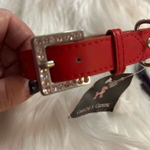 Red and Silver Dog Collar with Decorative Buckle